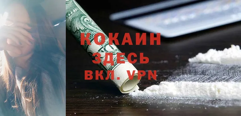 как найти наркотики  Елец  Кокаин FishScale 